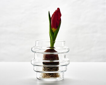 VAKO Tree 100- small glass vase