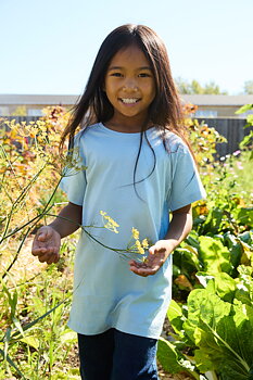 T-shirt - Barn - Neutral - Fairtrade & EKO GOTS - 23 olika färger