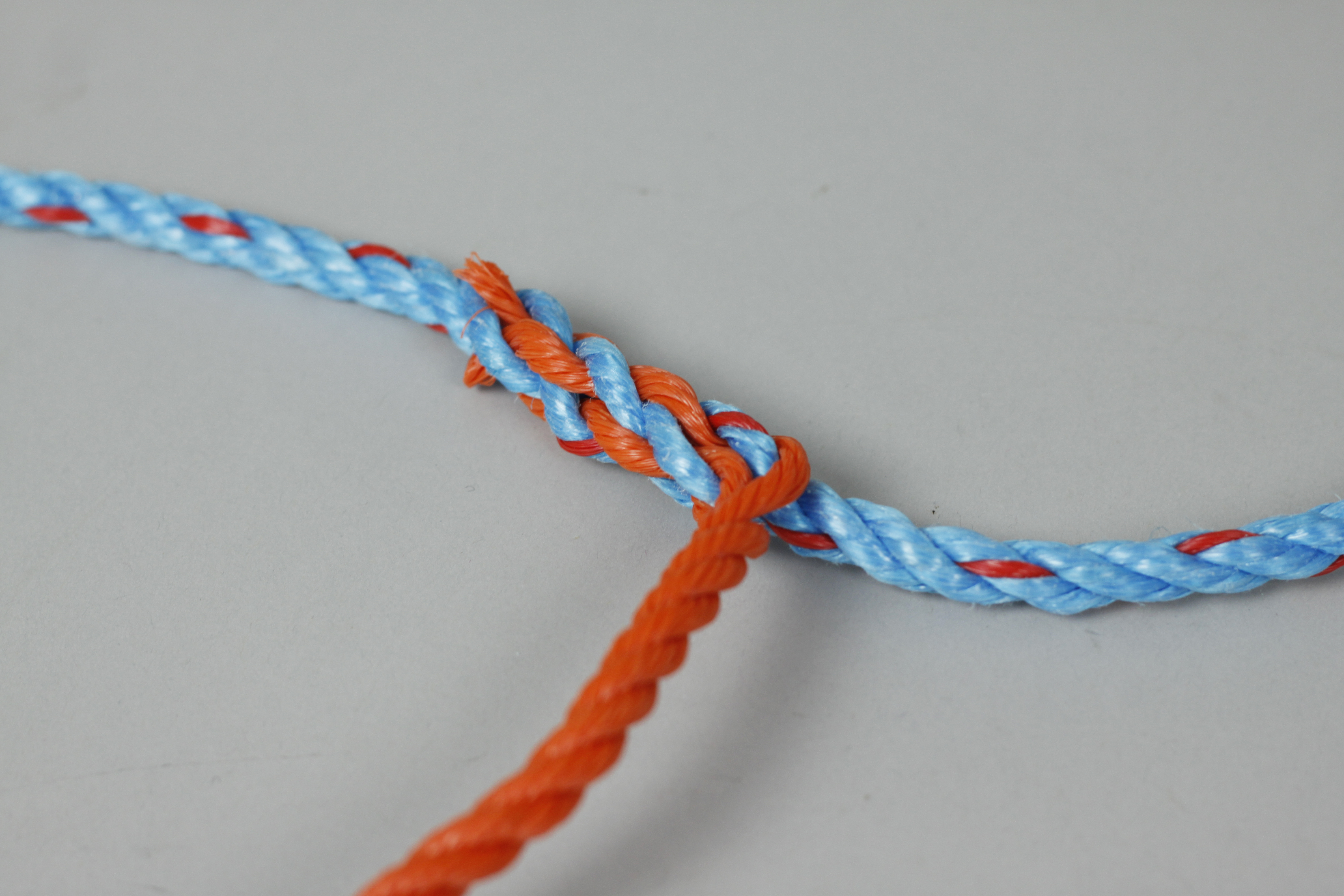 Prawn String, 2 Creels - 4