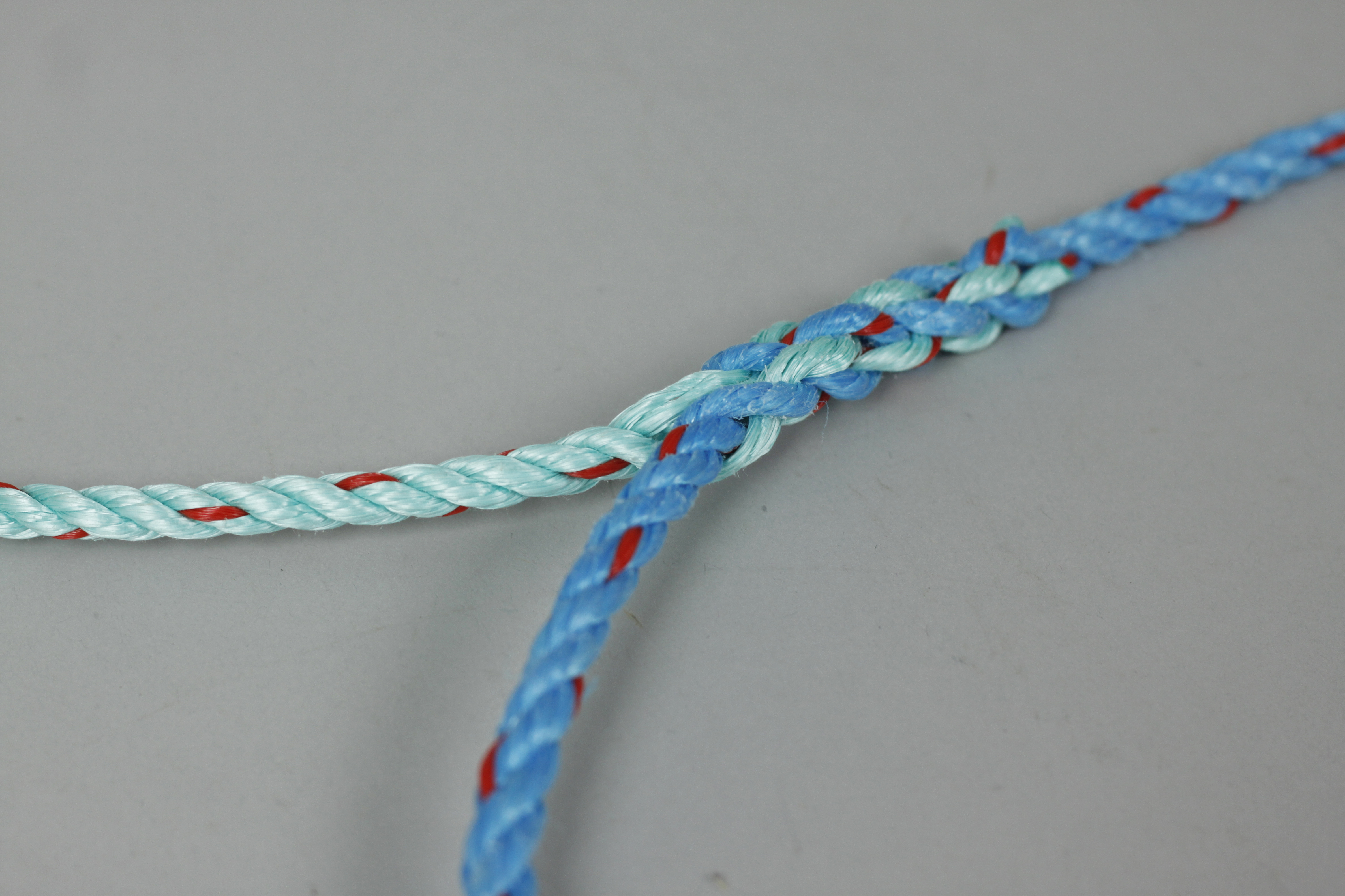 Prawn String, 6 Creels - 3