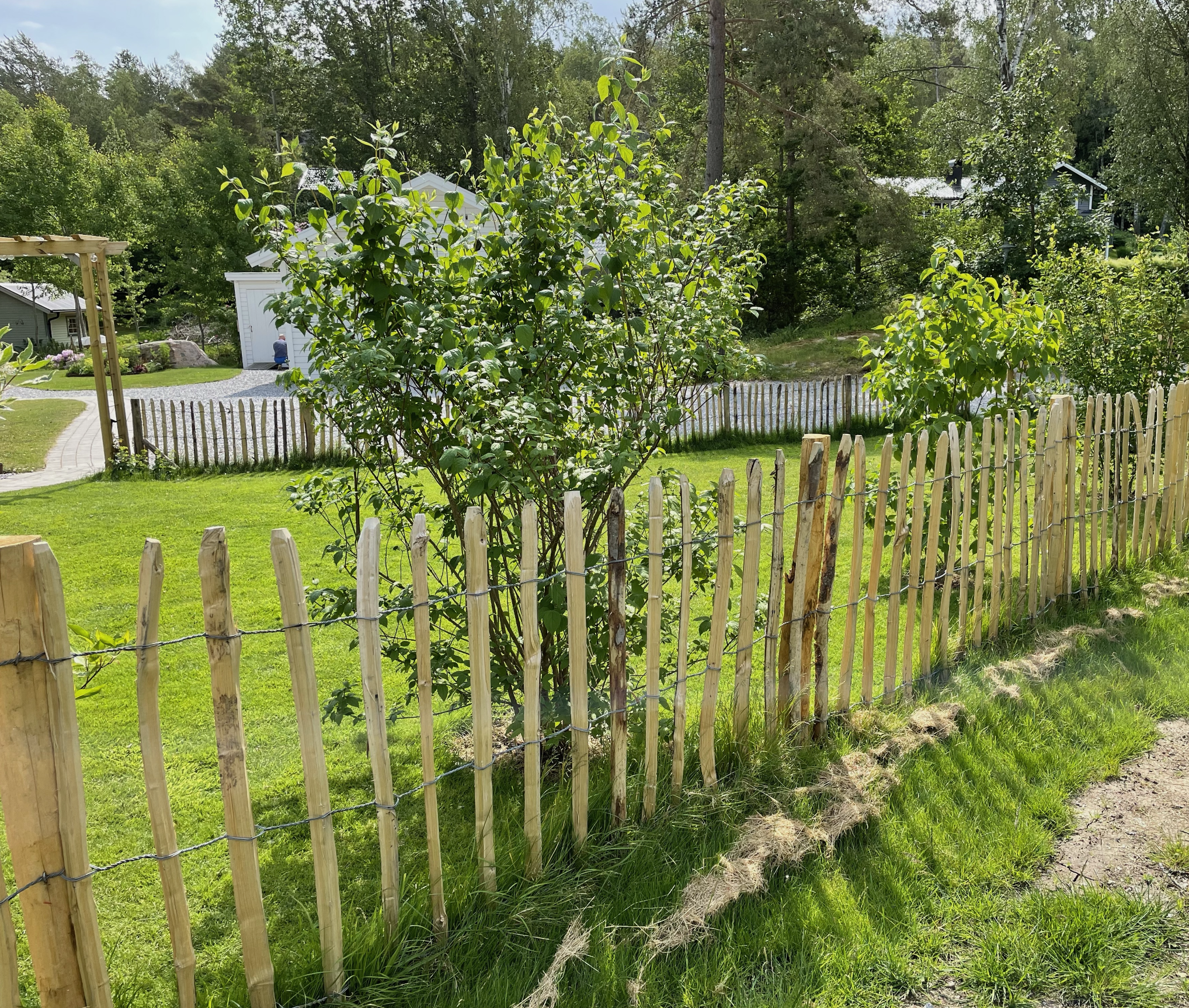 Kastanjestaket glest, höjd 90 cm längd 5 meter, engelskt - 5