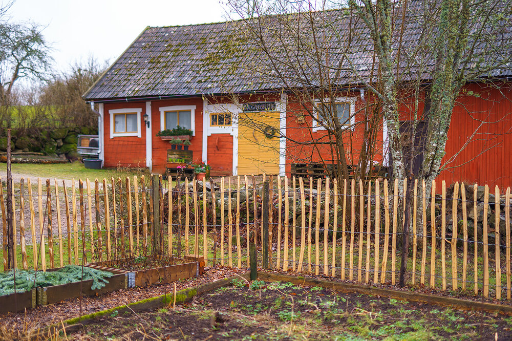Kastanjestaket glest, höjd 122 cm längd 10 meter, engelskt - 3