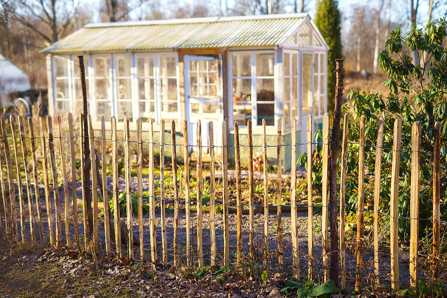 Kastanjestaket glest, höjd 122 cm längd 10 meter, engelskt