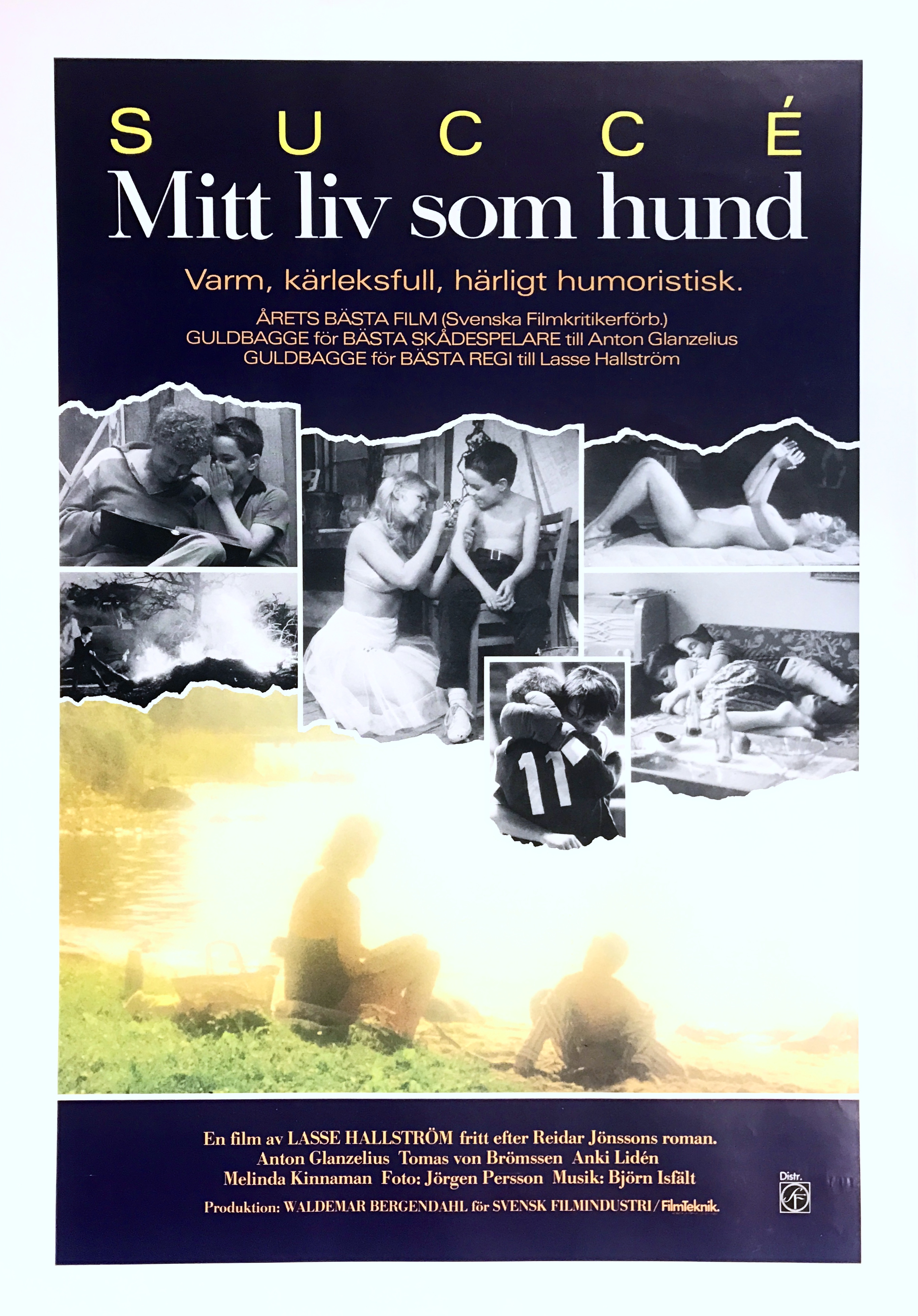 MY LIFE AS A DOG (1985) version 2