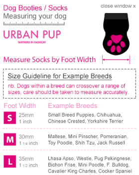 Urban Pup Stars & Stripes 4-Pack Hundsockar Med Antiglid