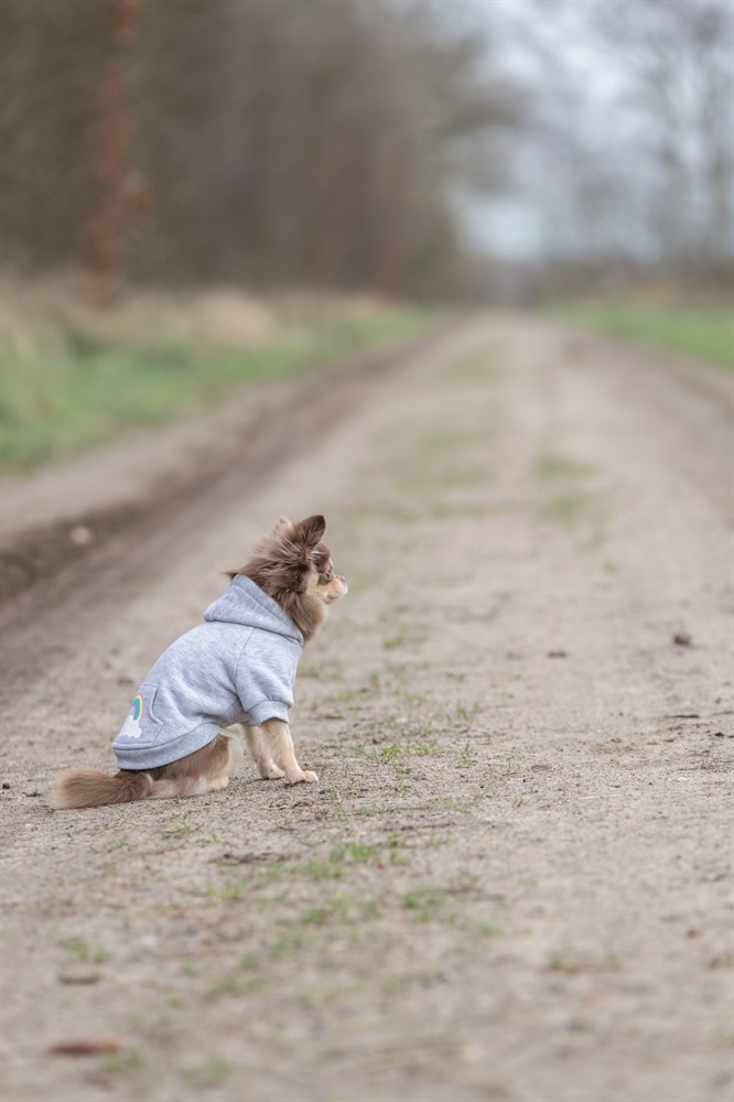 Trixie Hundtröja Rainbow Falls Hoodie X-Small 30cm Ljusgrå - 9