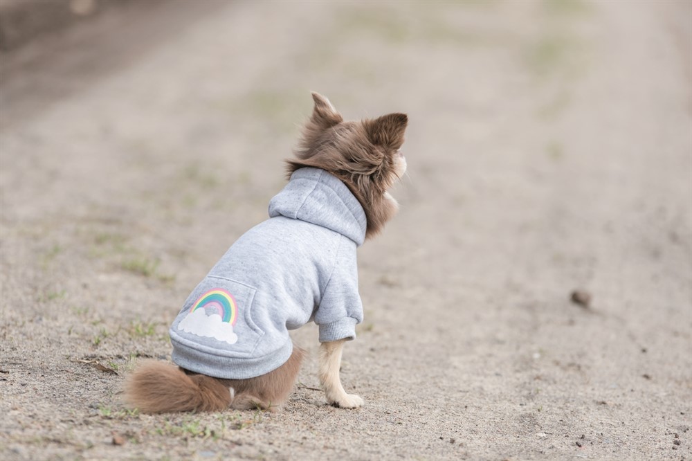 Trixie Hundtröja Rainbow Falls Hoodie X-Small 30cm Ljusgrå - 8