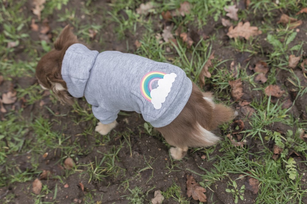 Trixie Hundtröja Rainbow Falls Hoodie X-Small 30cm Ljusgrå - 6