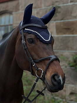 Ear bonnet horse silver