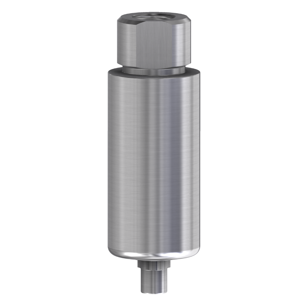  Pre-milled blank WP 10 mm för NobelReplace®