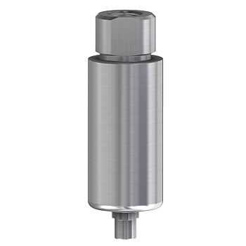  Pre-milled blank WP 10 mm för NobelReplace®