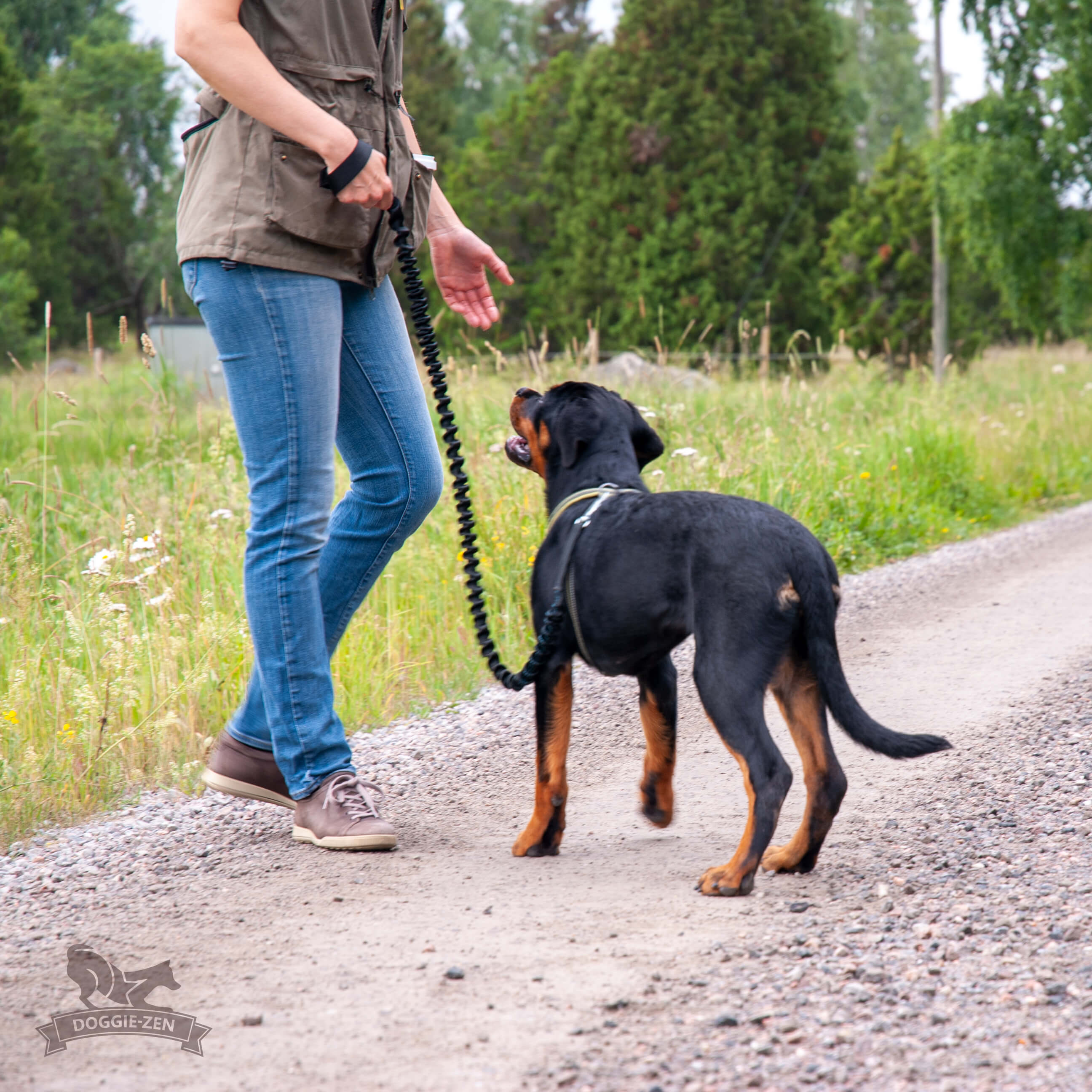 Full Bungee Leash 180 cm - 2
