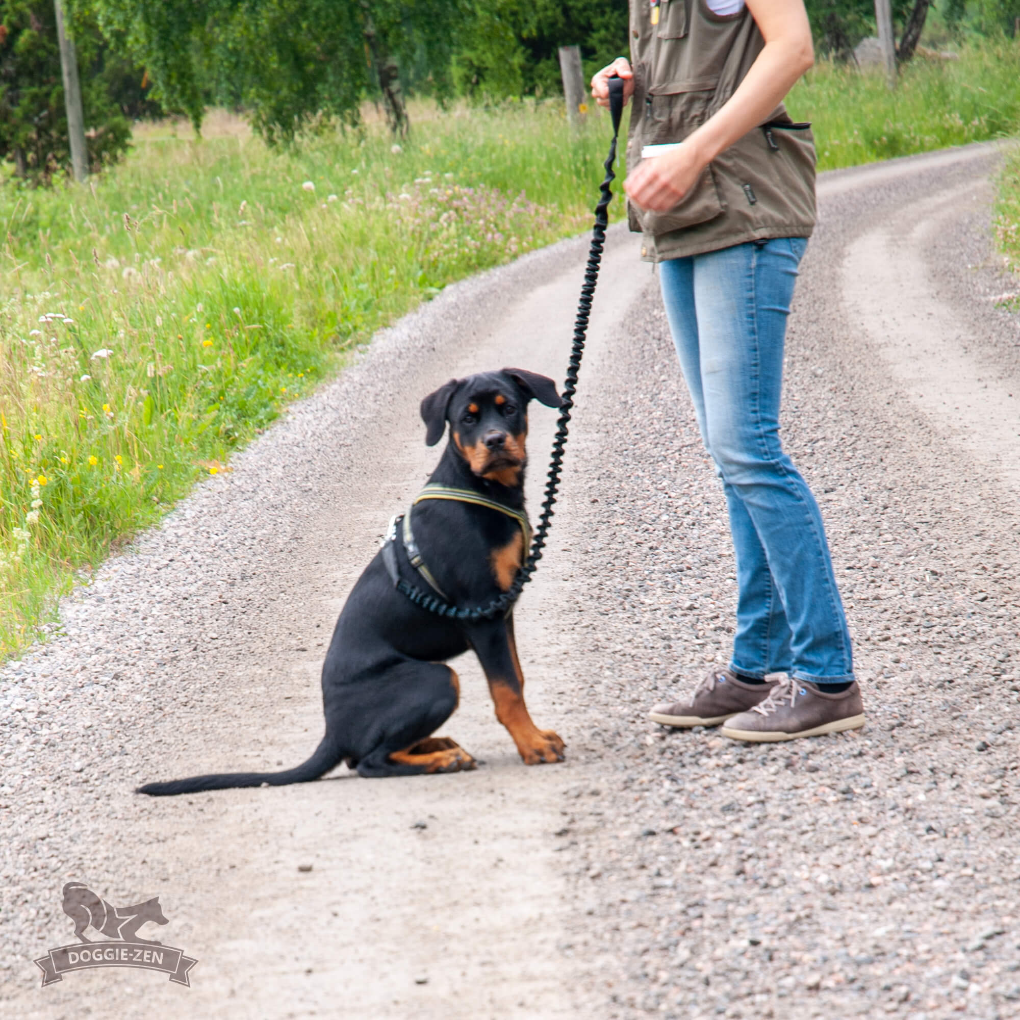Full Bungee Leash 180 cm - 11