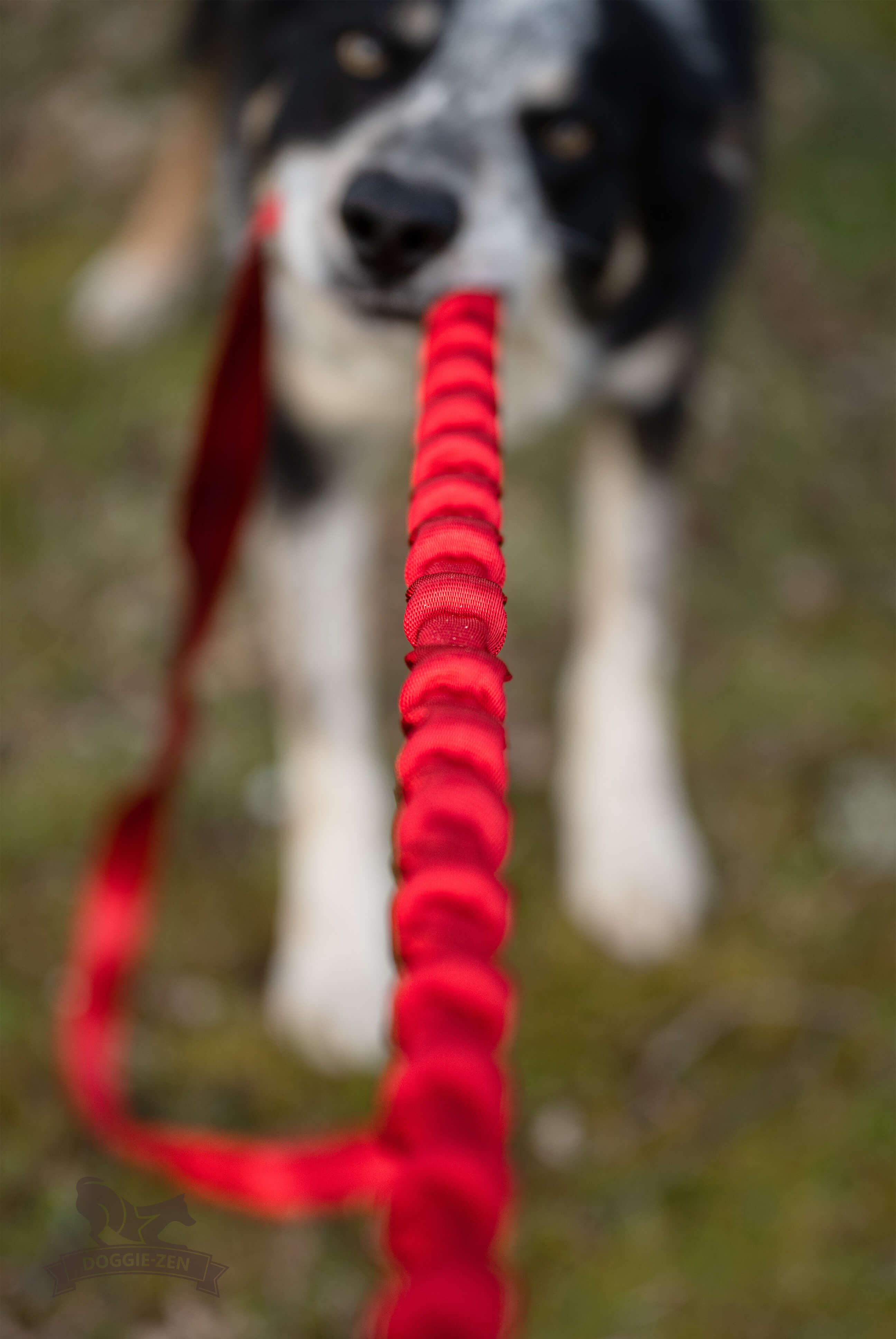 Elastiskt handtag 130 cm - 3