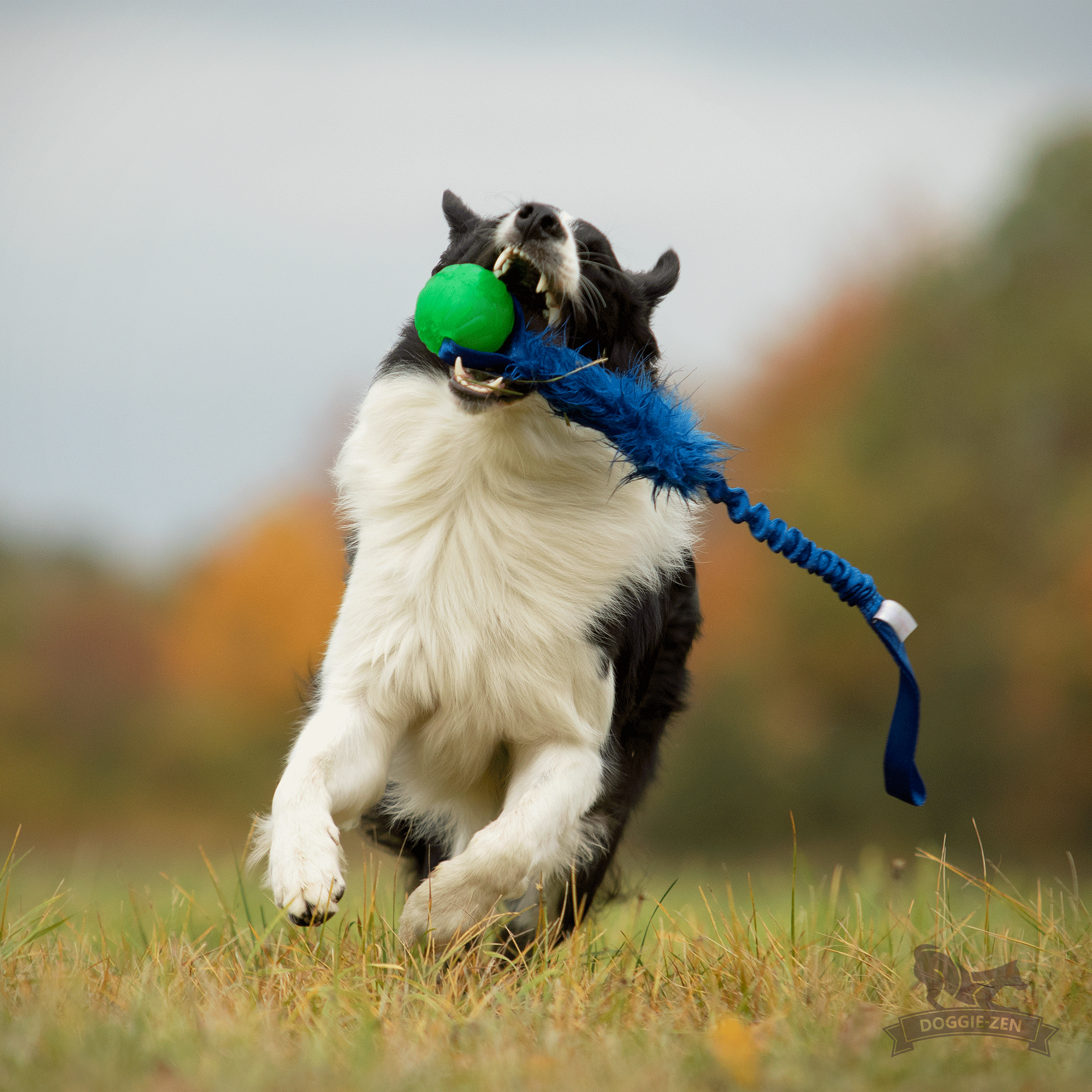 Bungee Fake Fur Tug L with Funball - 4
