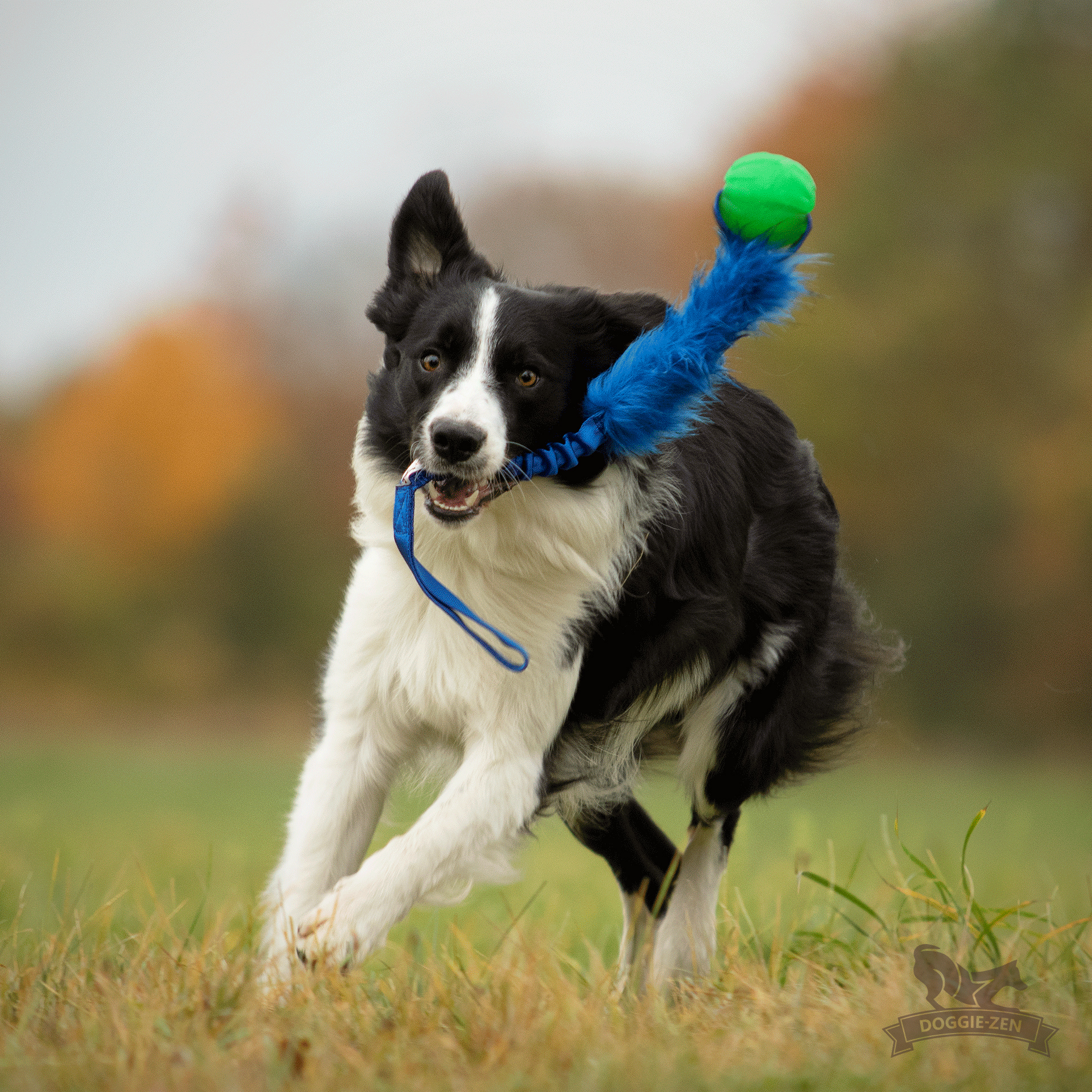 Bungee Fake Fur Tug L with Funball - 3