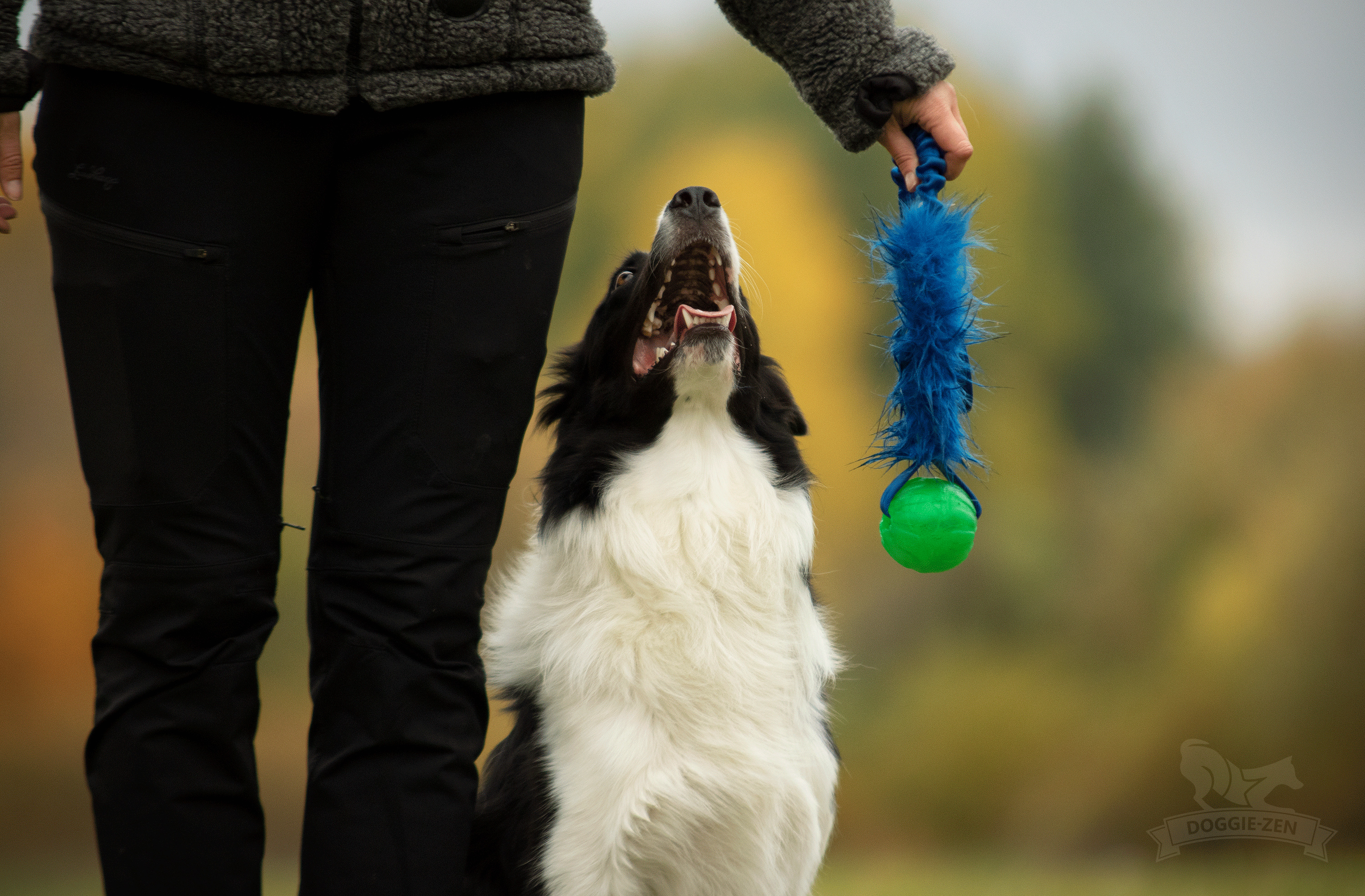 Bungee Fake Fur Tug L with Funball - 2