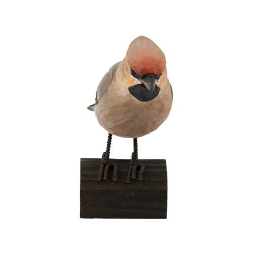 DecoBird Bohemian Waxwing - 4