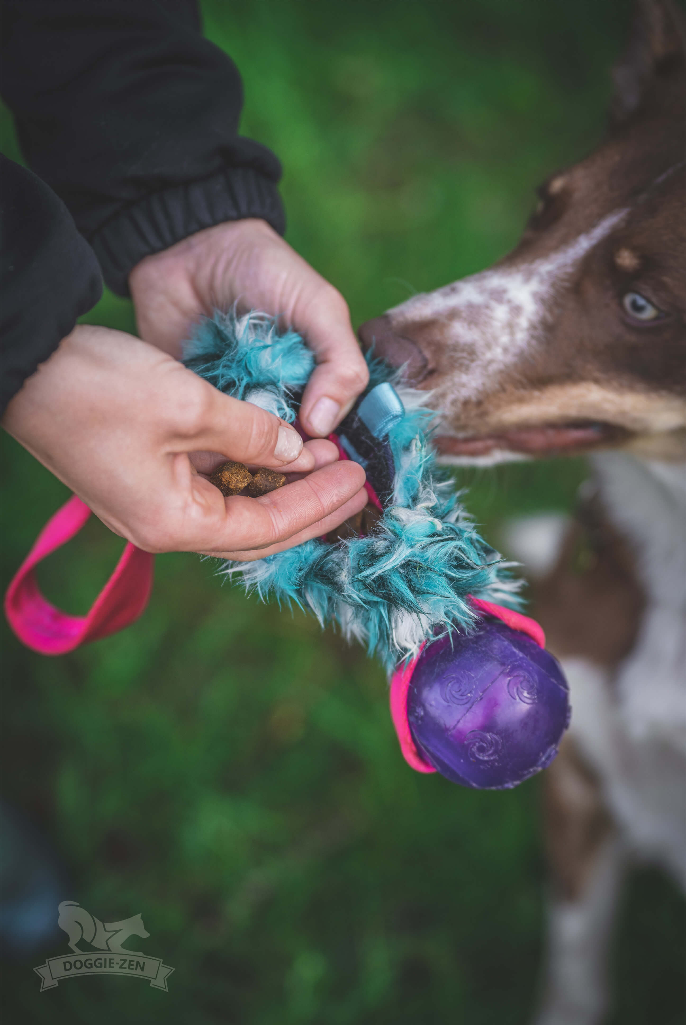 Pocket Treat Tug with KONG Squeezz Ball - 5