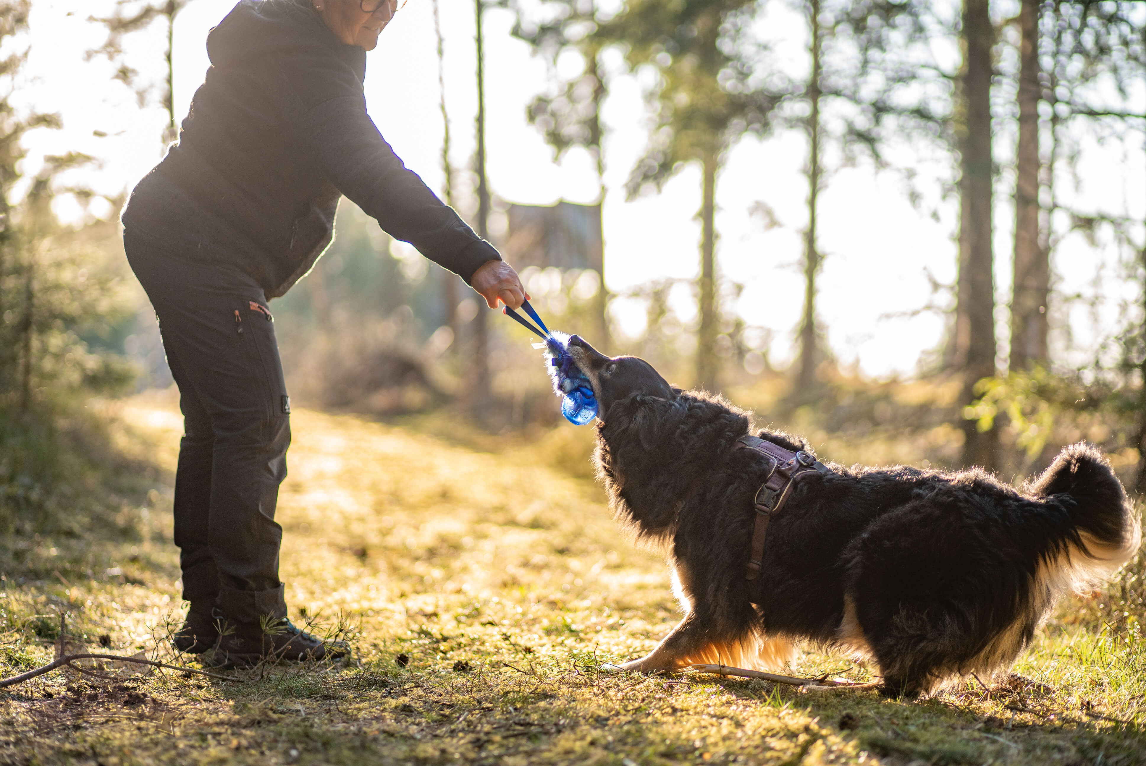 Pocket Treat Tug with KONG Squeezz Ball - 8