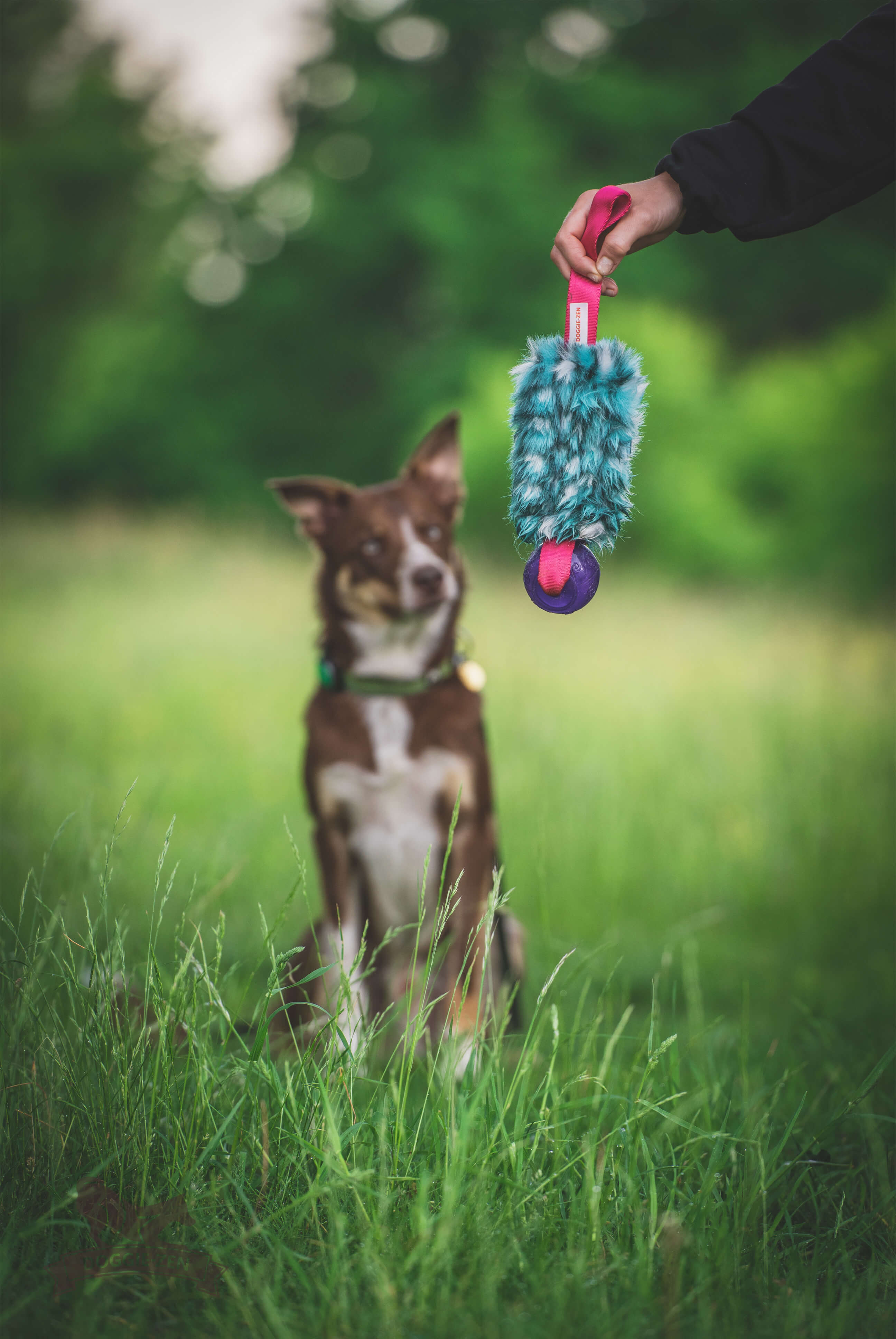 Pocket Treat Tug with KONG Squeezz Ball - 4