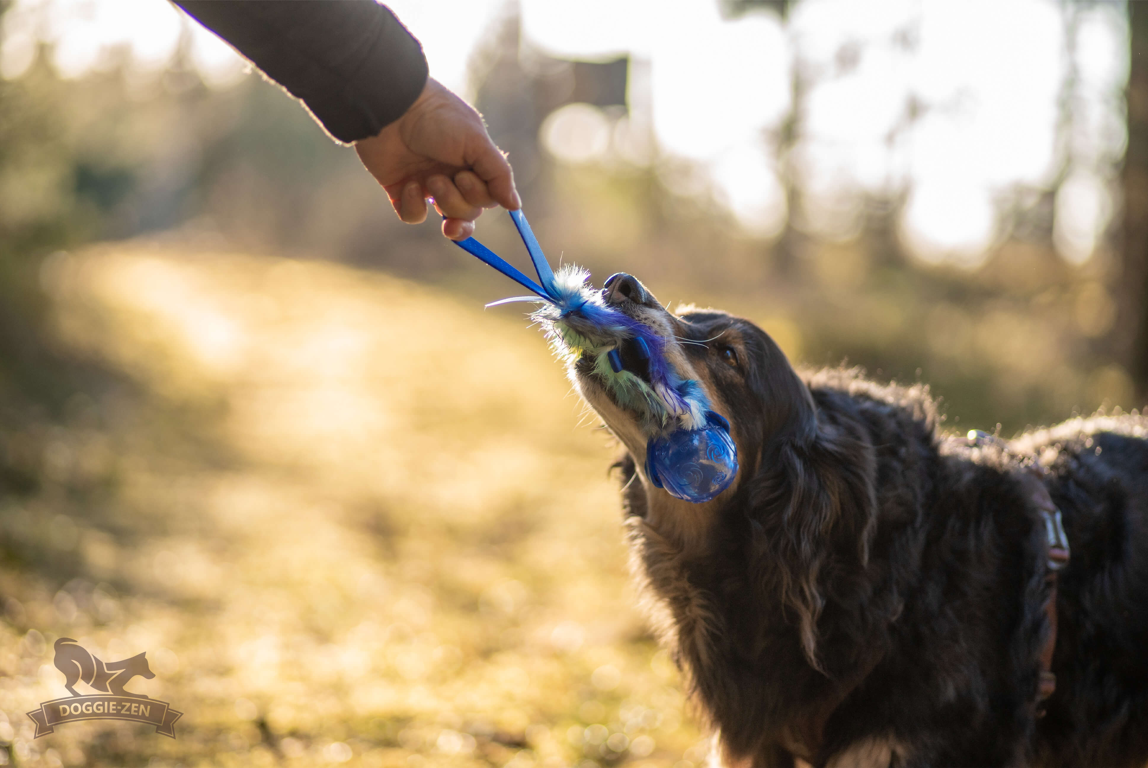 Pocket Treat Tug with KONG Squeezz Ball - 7