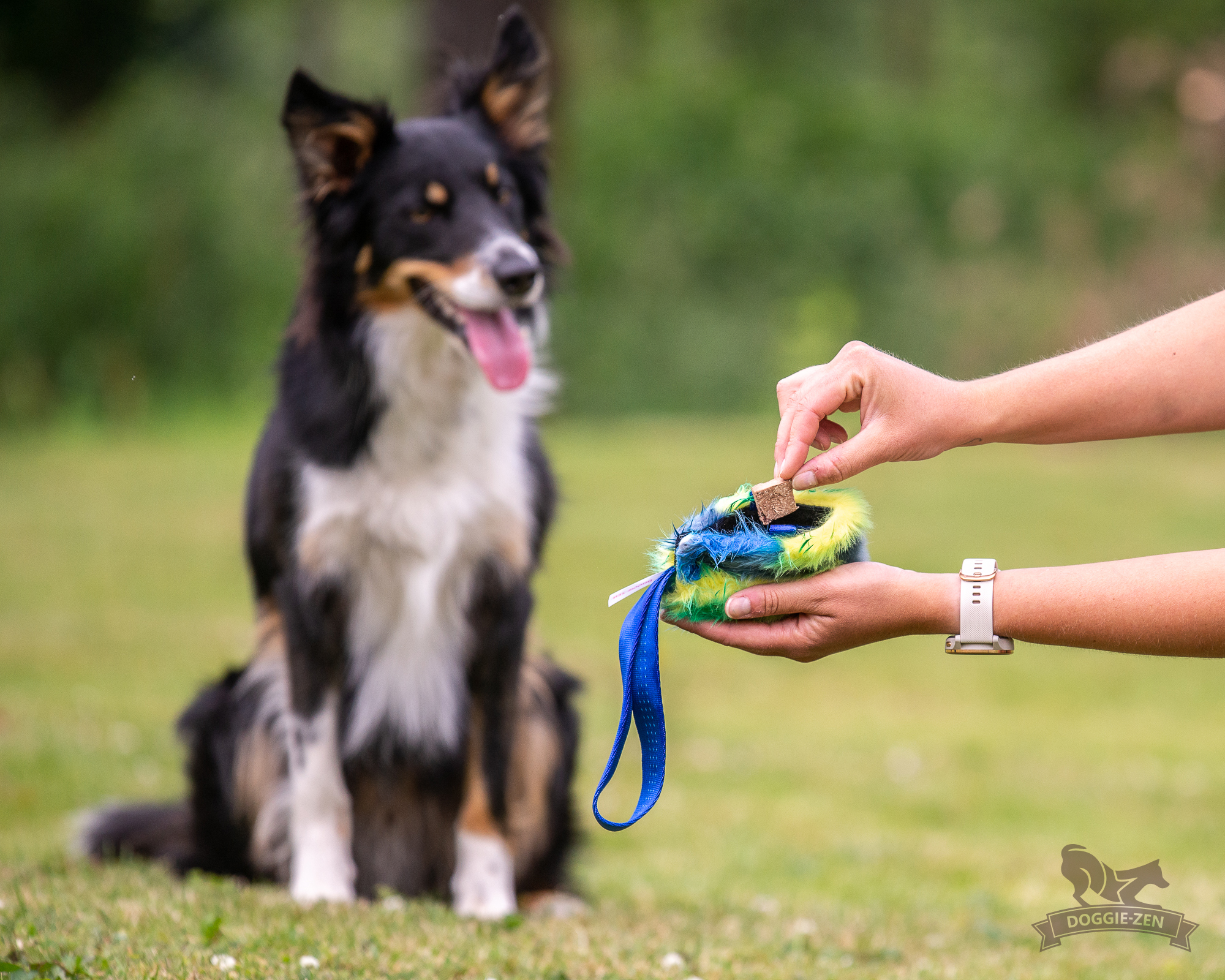 Pocket Treat Tug