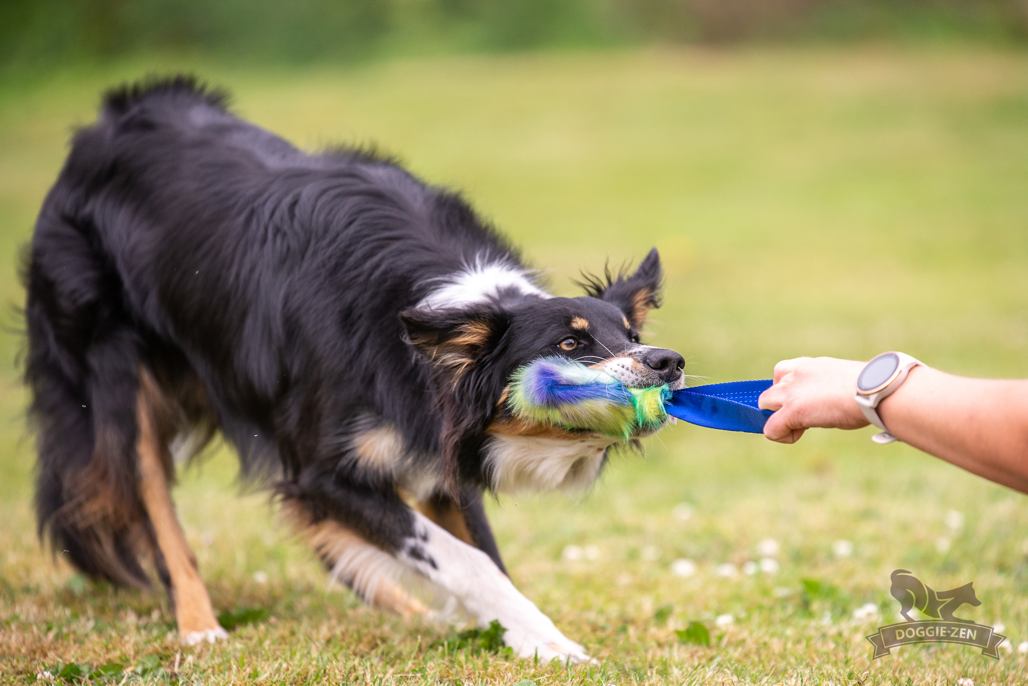 Pocket Treat Tug - 2