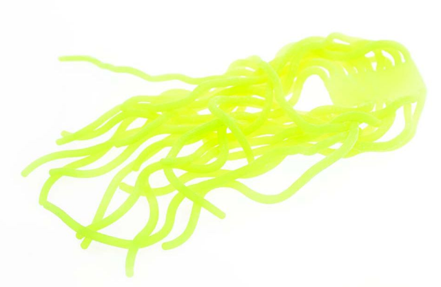 Squirmy Wormy - 5