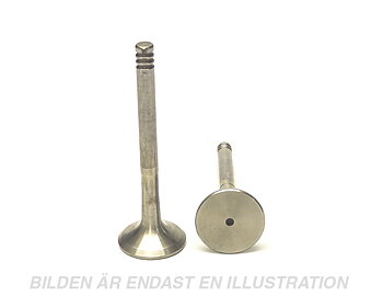 Valve Exhaust D5252T