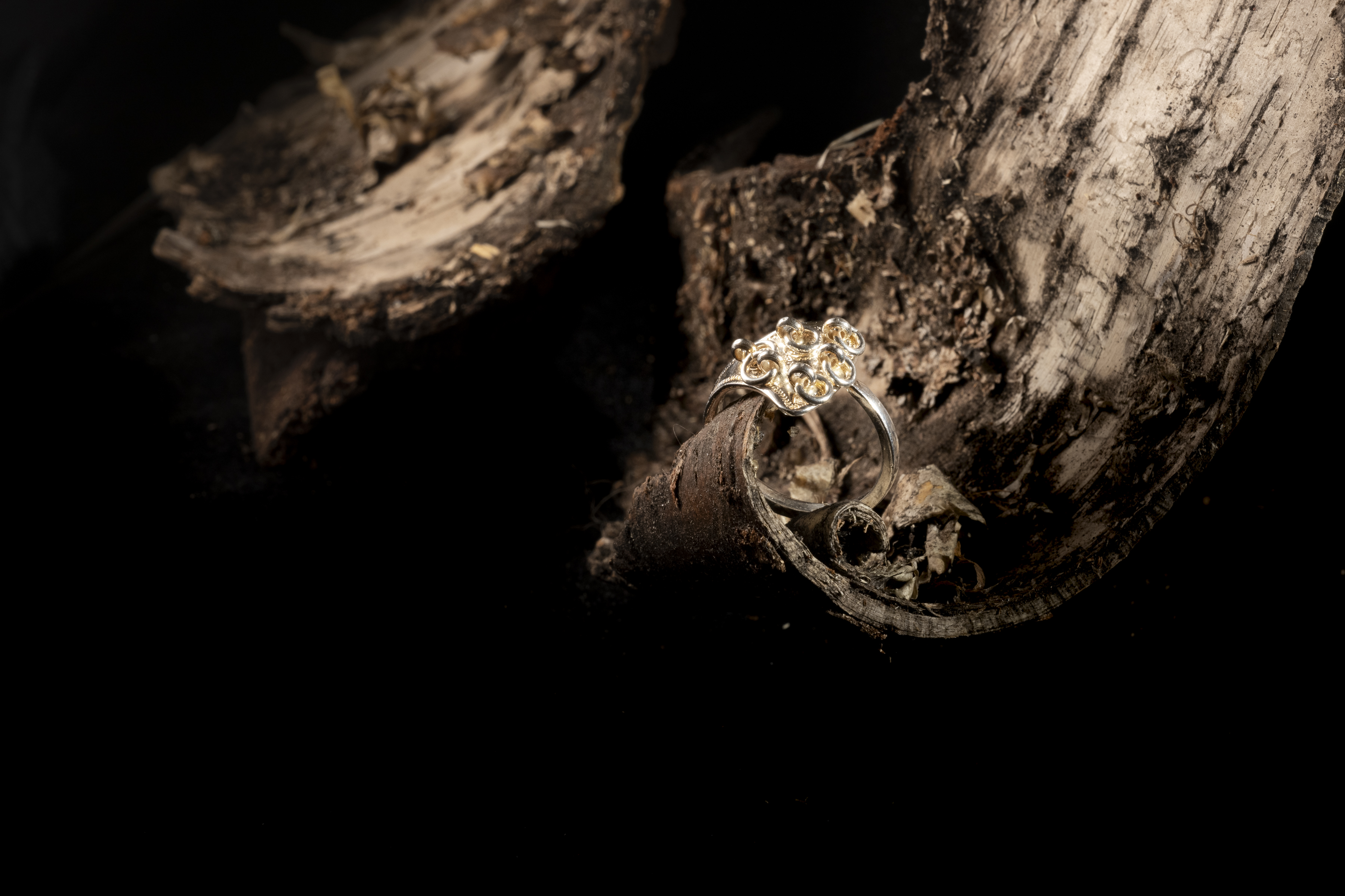 Ring Vaisa