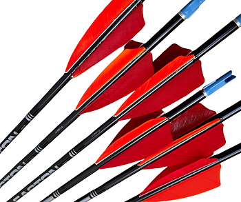 Easton Jazz Black Pil 4-fjädrad