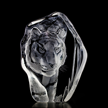 Mats Jonasson Wildlife Tiger