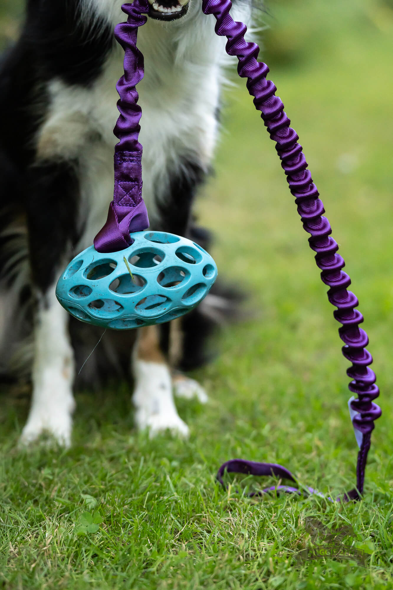 Bungee Handle - 7