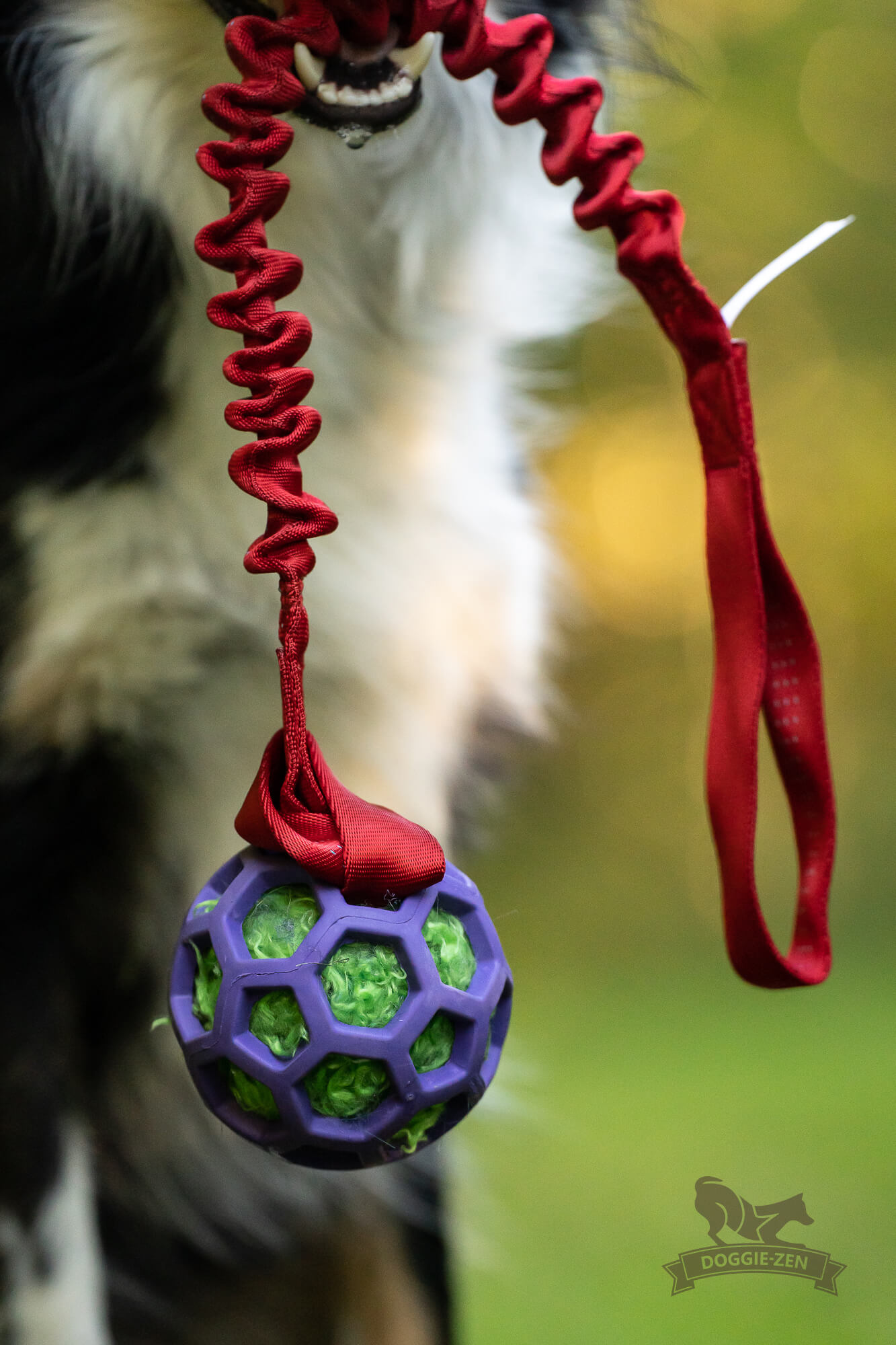 Bungee Handle - 5