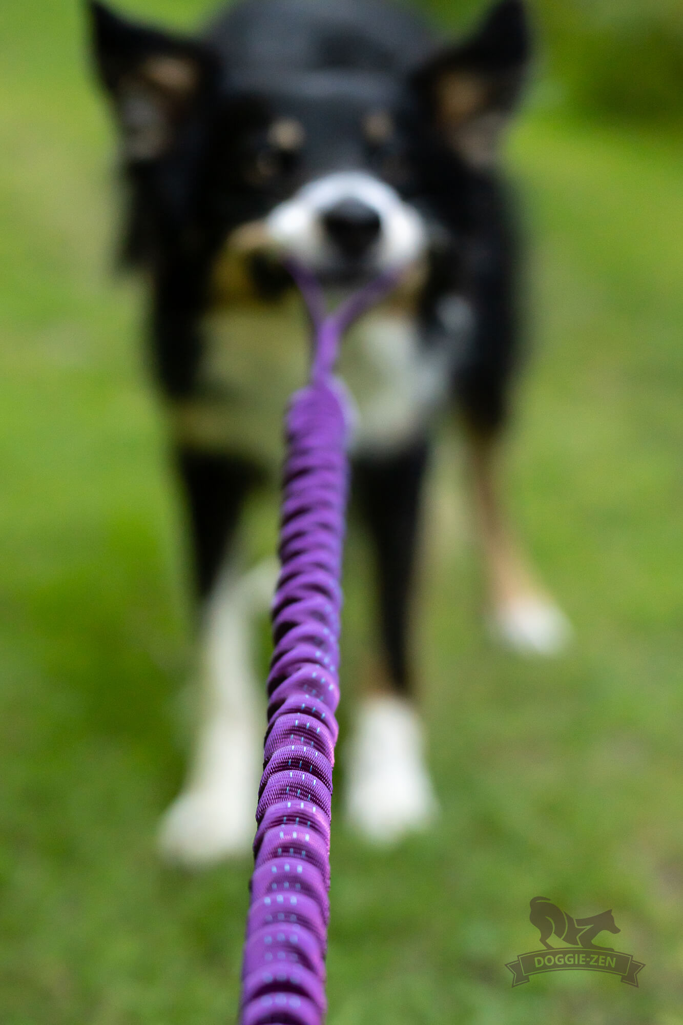 Bungee Handle - 4
