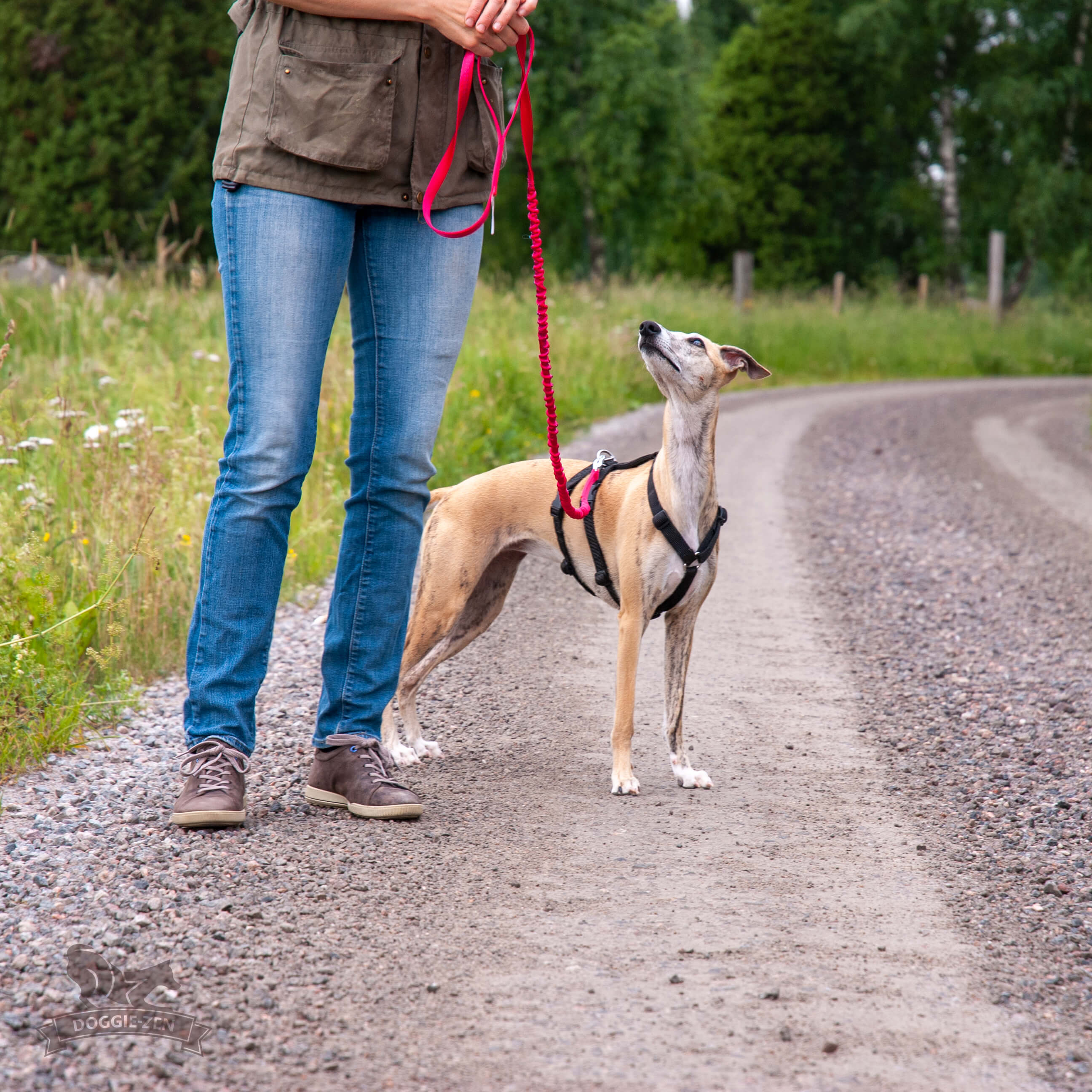 Semi Bungee Leash 180 cm - 4