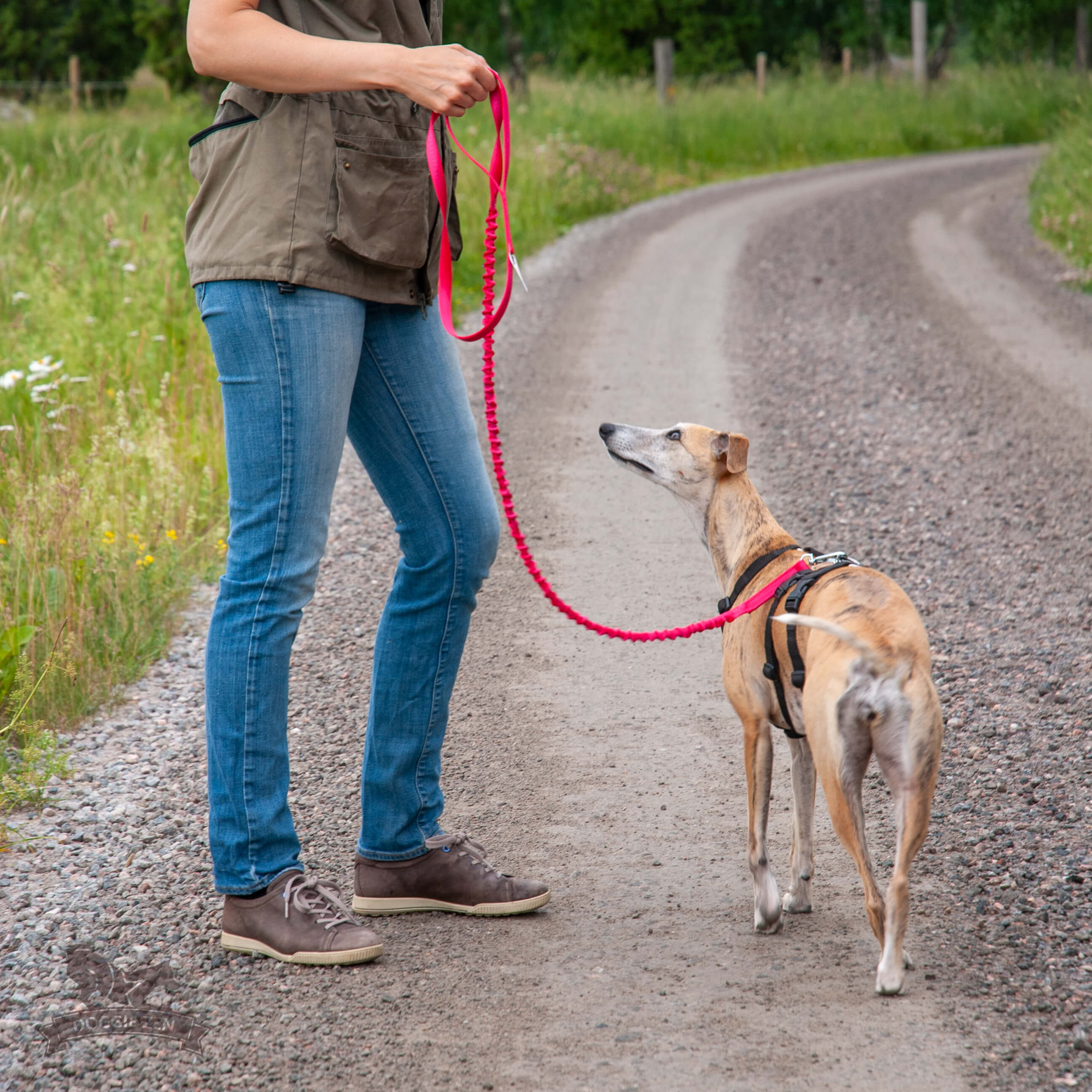 Semi Bungee Leash 180 cm