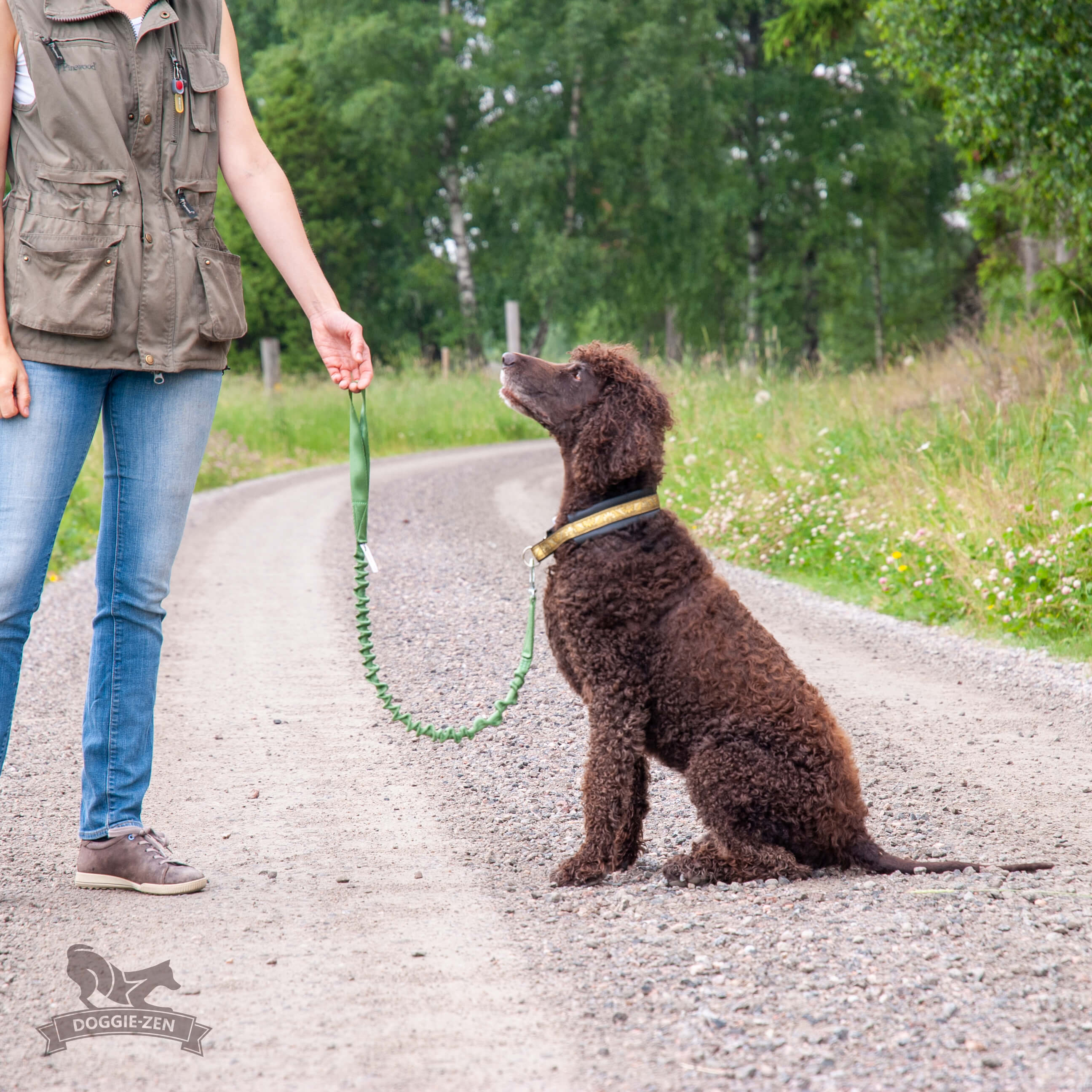 Short training outlet leash