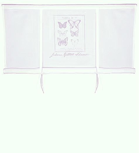 Hissgardin Butterfly vit beige rosa shabby chic lantlig stil