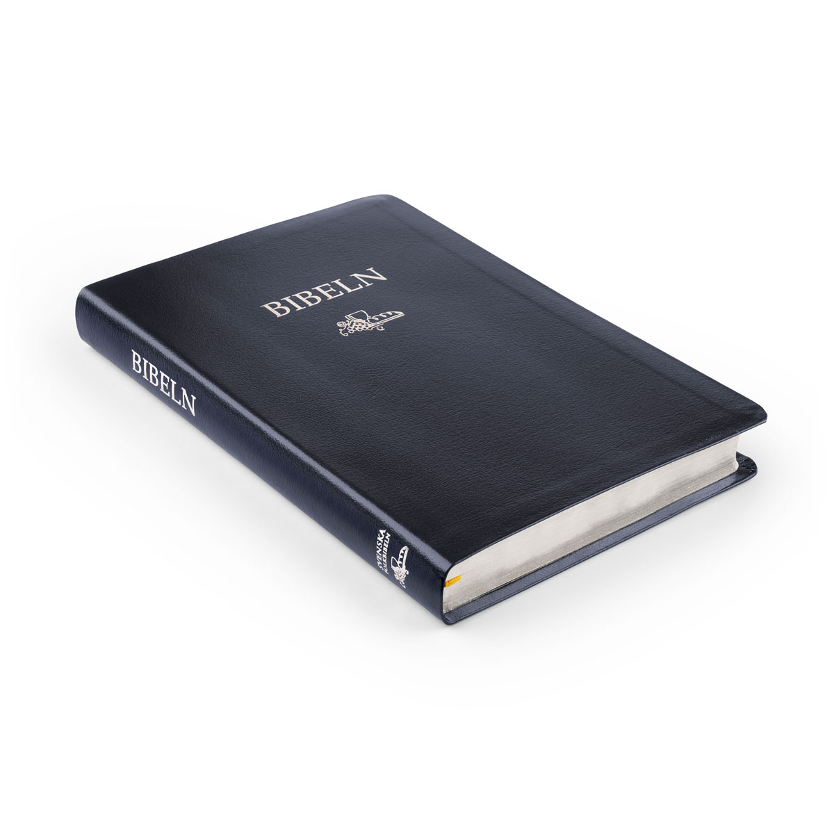 Folkbibeln 2015 slimline blå cabra - 2