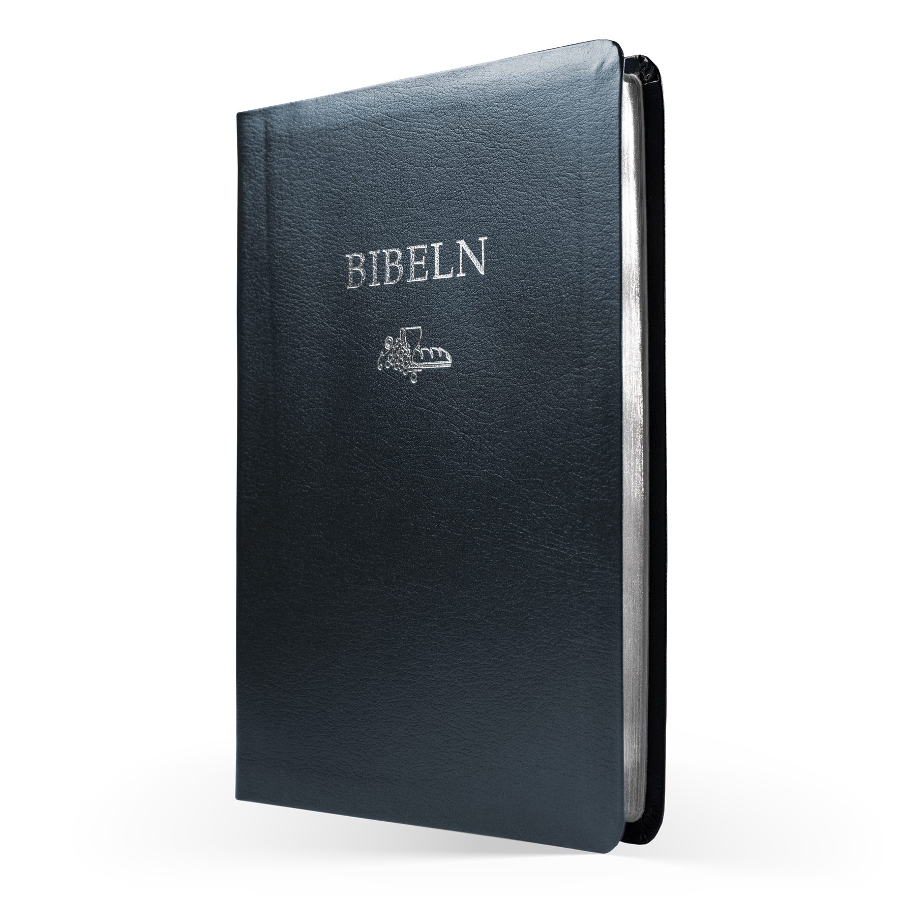 Folkbibeln 2015 slimline blå cabra