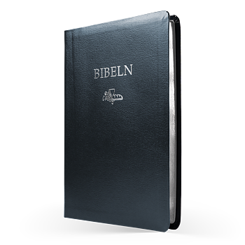Folkbibeln 2015 slimline blå cabra