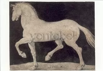Trotting Stallion, Postcard