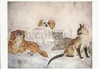 Cats and Dogs, Postcard