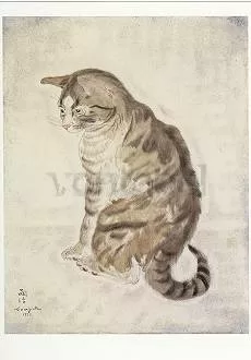 Cat, Postcard