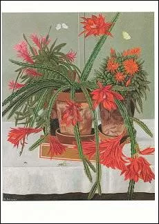 Cactuses and Grasshopper, 1943, Postcard