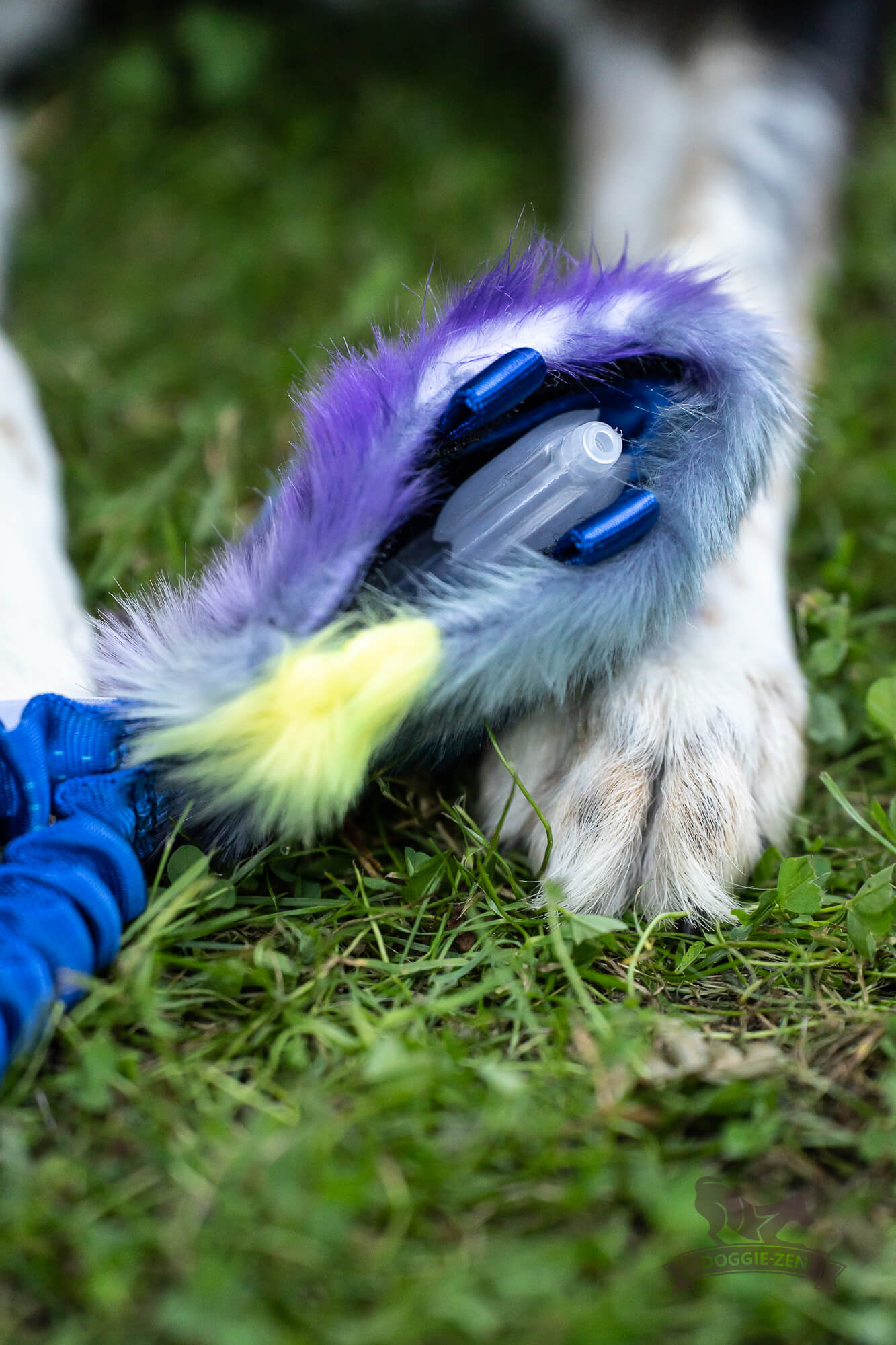 Bungee Pocket Treat Tug - 6