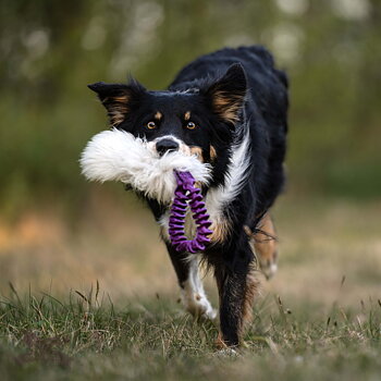 Bungee Pocket Sheepskin Tug
