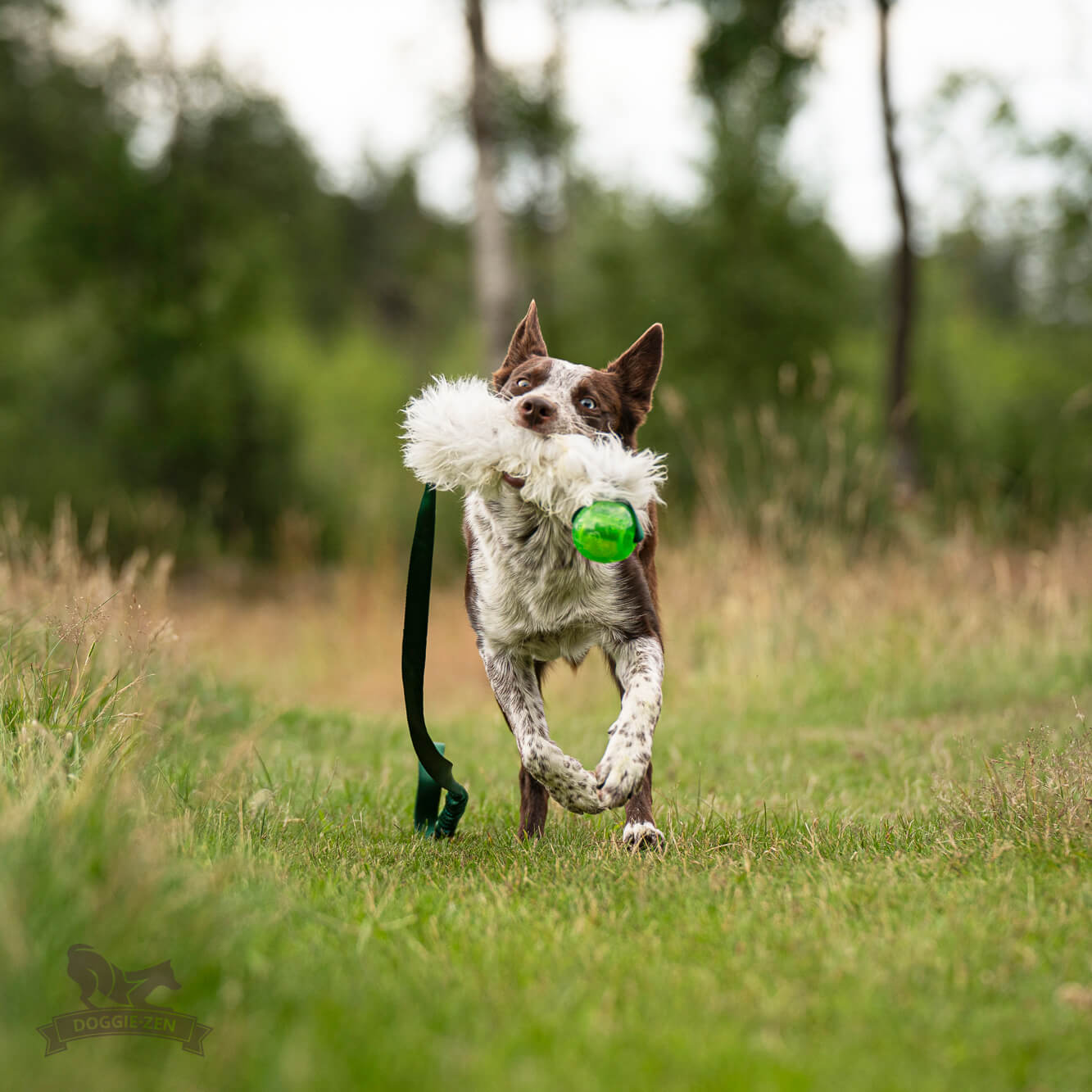 Bungee Sheepskin Chaser Tug L with KONG Squeezz Ball - 4